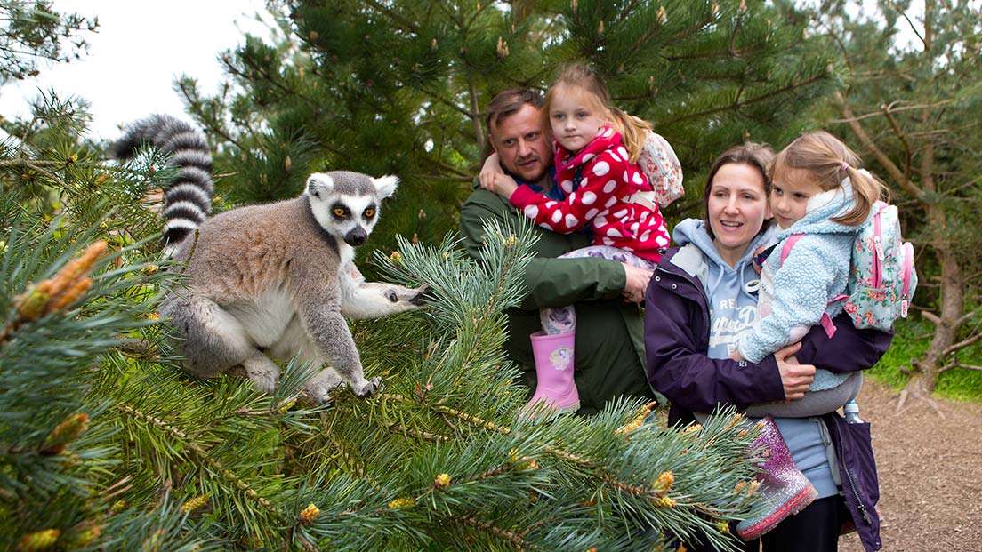 Twycross Zoo