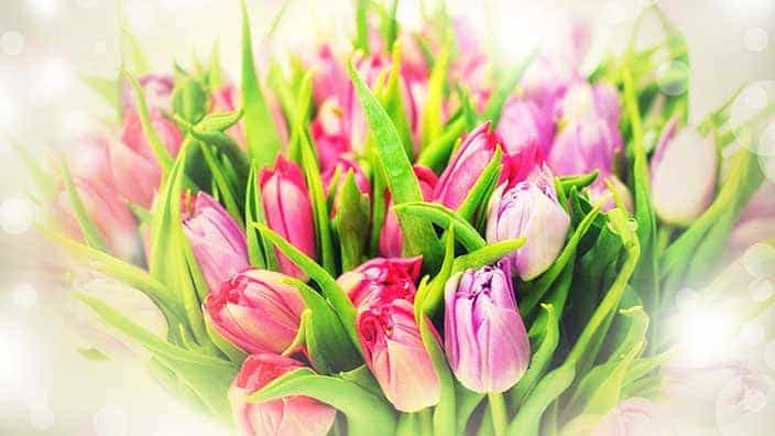 Mothering Sunday