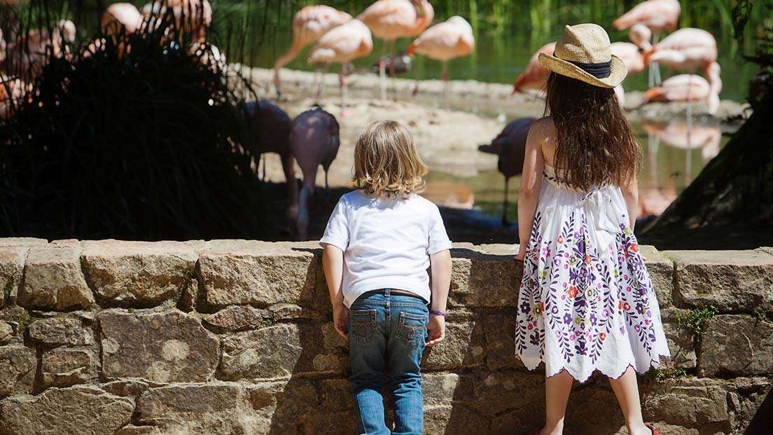 Jersey Zoo