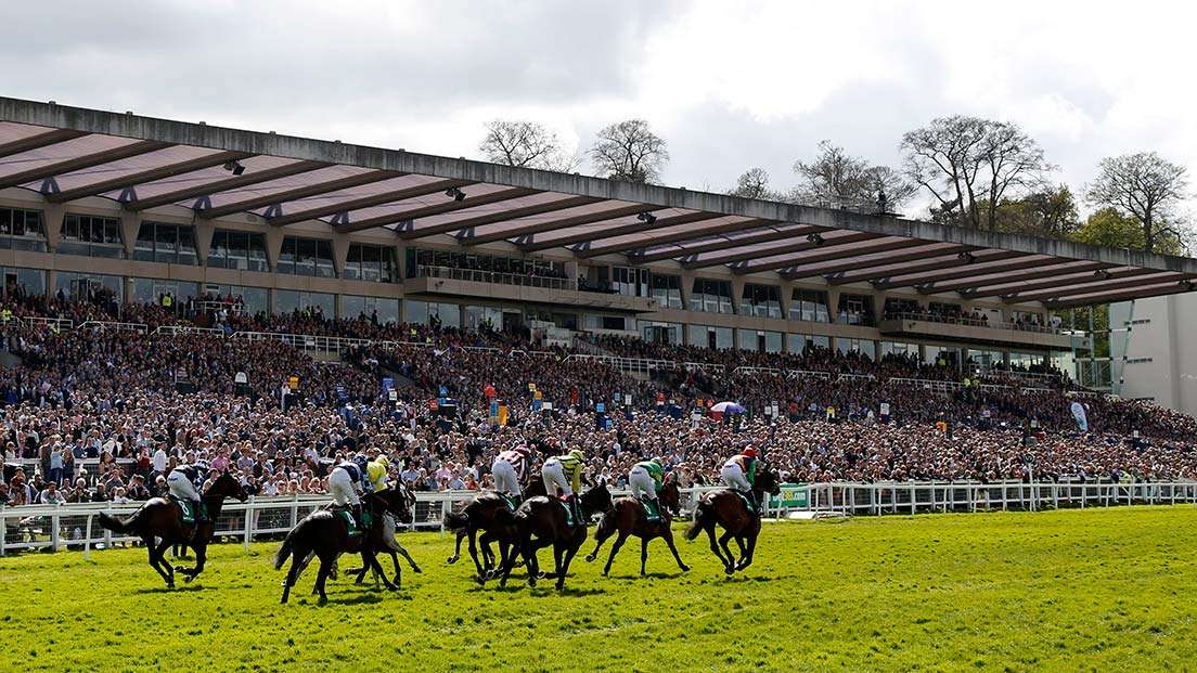 Sandown Park Racecourse