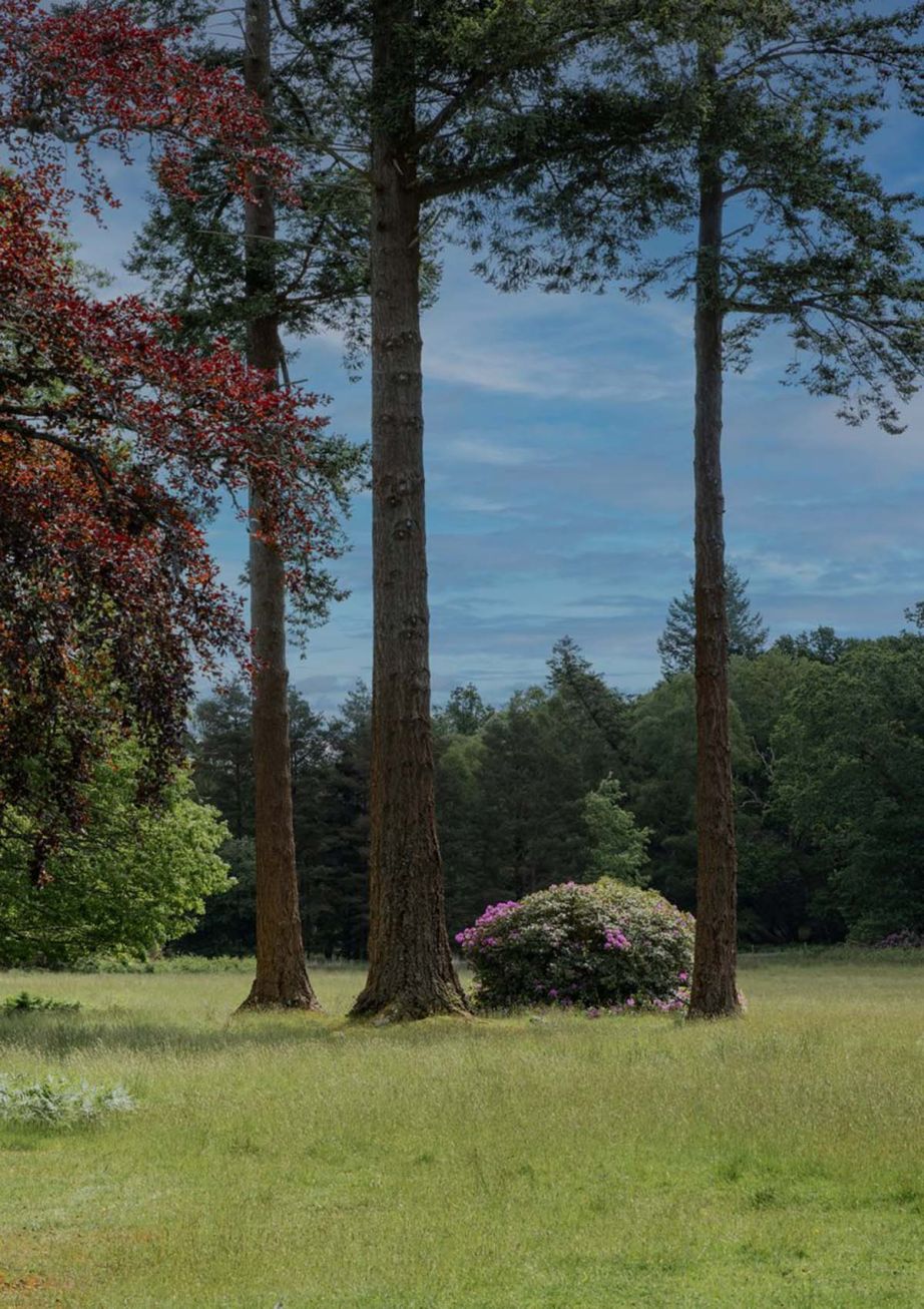 Our Mindful Meetings Venues 
