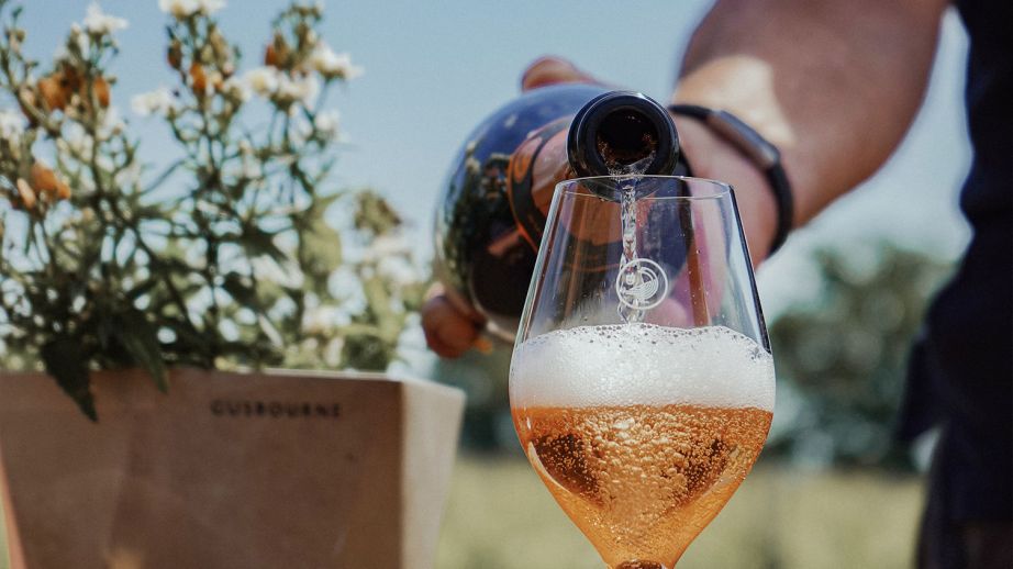 Gusbourne Estate Vineyard Experience