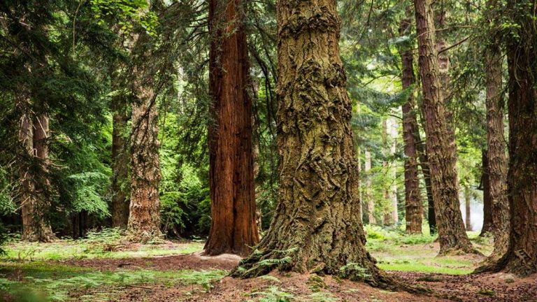 REDUCING ENVIRONMENTAL IMPACT