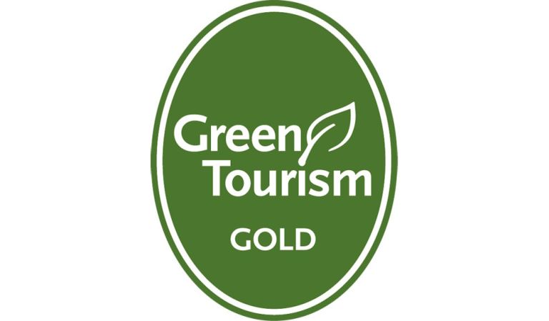 Our Journey Towards Sustainability