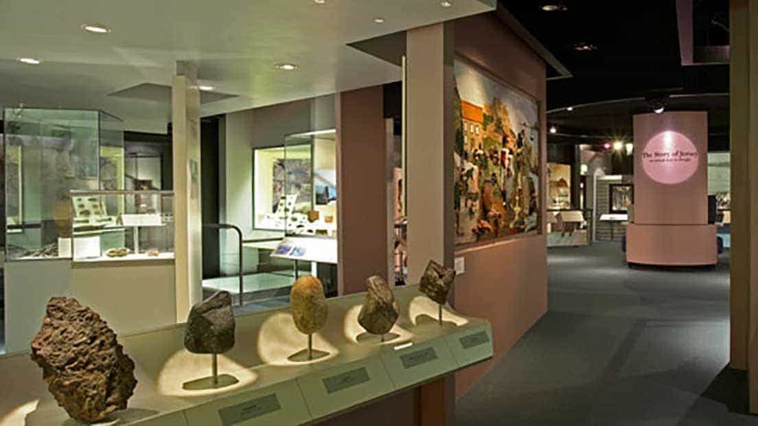Geleerde Ontslag nemen Triatleet Jersey Museum and Art Gallery