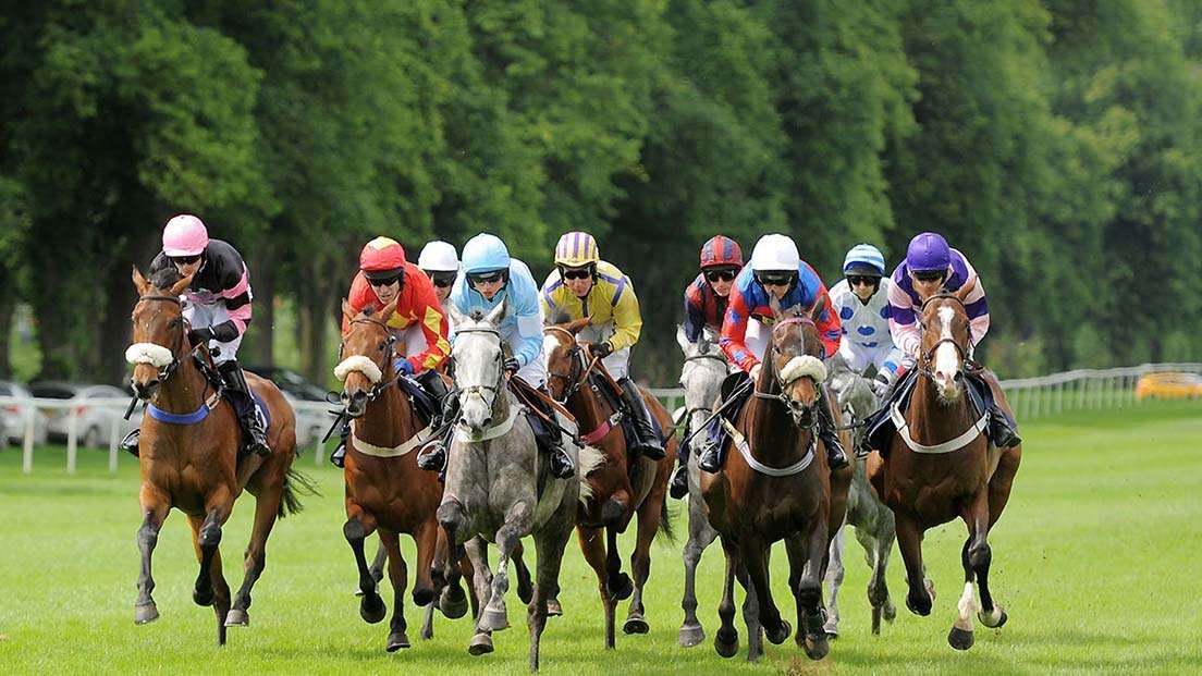 Worcester Racecourse Stanbrook Abbey Hotel